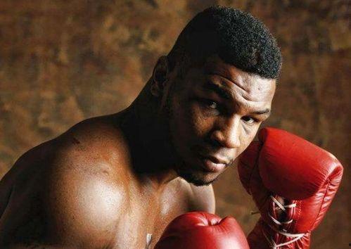 拳击手视频,揭秘拳击手精彩对决瞬间