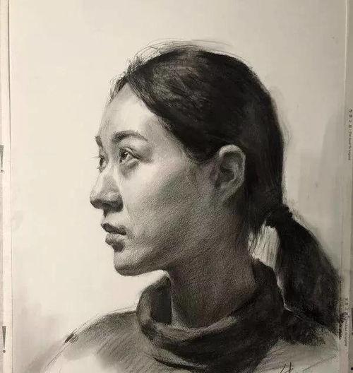 素描视频,从基础到进阶的绘画技巧解析