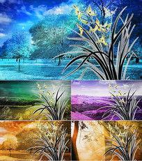 舞蹈兰花草舞蹈视频,探寻传统与现代交融的舞蹈魅力