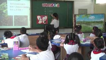 美术课教学视频