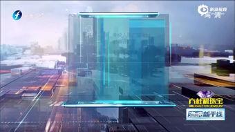 金砖视频,共筑繁荣发展新愿景