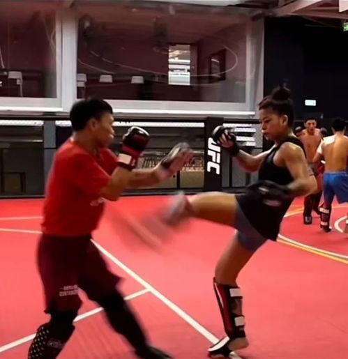 搏击训练视频,实战技巧与体能提升全解析