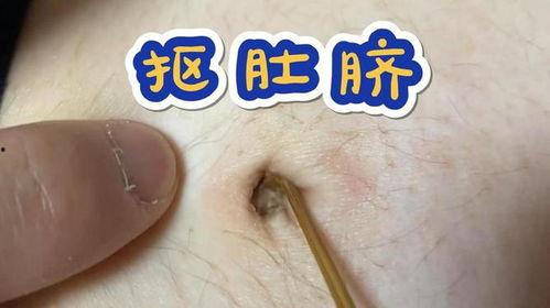 肚脐眼视频,探寻人体奥秘的奇妙之旅