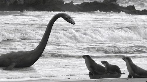 水怪视频大全,揭秘水怪视频大全之谜