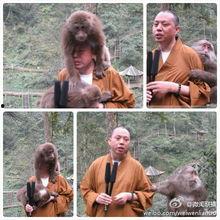 讲经视频,讲经视频精华概览