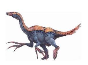 镰刀龙视频,揭秘史前霸主的生活轨迹与神秘传说