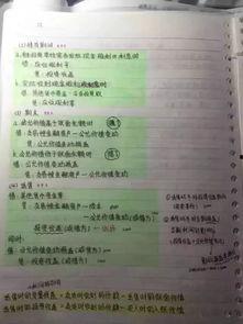 学霸笔记视频,高效学习策略全解析